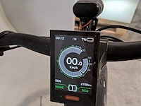 Elektrische damesfiets, amslod, eton e-nd - afbeelding 19 van  20