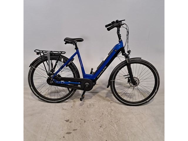 Elektrische damesfiets, avalon, e-motive - afbeelding 1 van  13