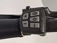 Elektrische damesfiets, avalon, e-motive - afbeelding 10 van  13