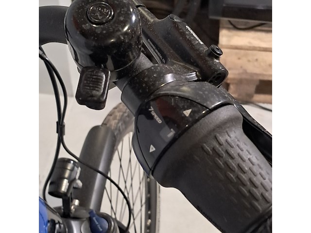 Elektrische damesfiets, avalon, e-motive - afbeelding 12 van  13