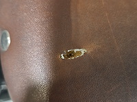 Elektrische damesfiets, avalon - afbeelding 9 van  13