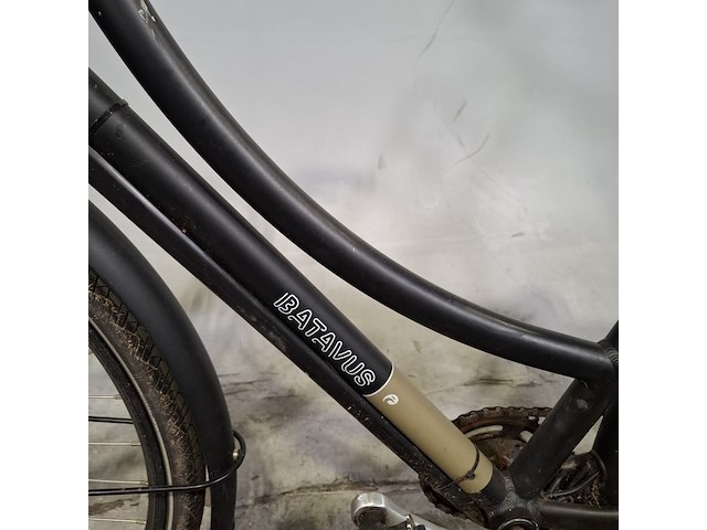 Elektrische damesfiets, batavus, cnctd - afbeelding 7 van  12