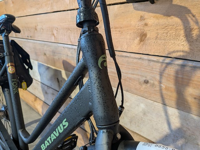 Elektrische damesfiets, batavus, fonk e-go, 2022 - afbeelding 13 van  16