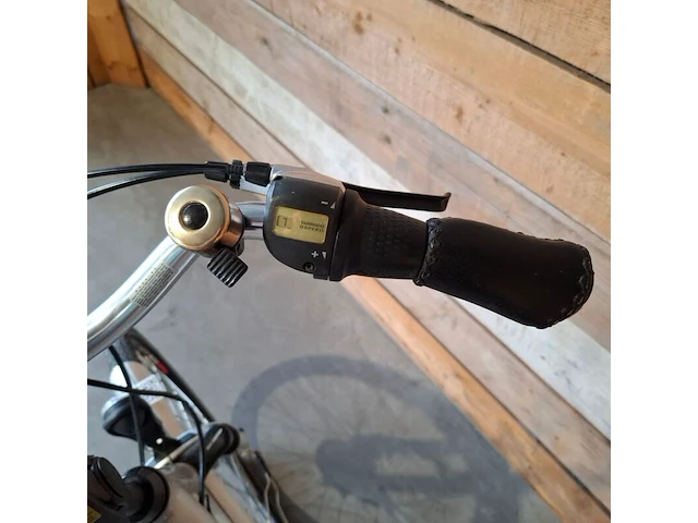 Elektrische damesfiets, flyer, c5, grijs / chroom - afbeelding 6 van  15