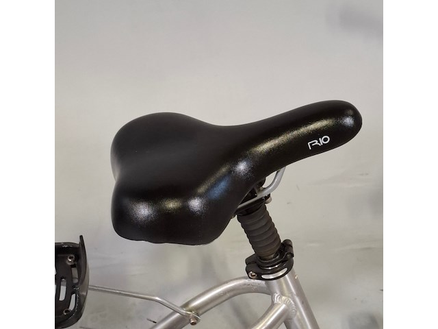 Elektrische damesfiets, flyer - afbeelding 8 van  13