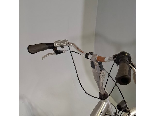 Elektrische damesfiets, flyer - afbeelding 10 van  13
