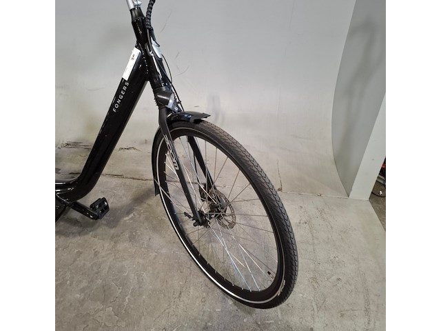 Elektrische damesfiets, fongers, locarno - afbeelding 10 van  19