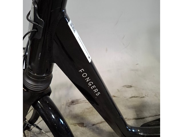 Elektrische damesfiets, fongers, locarno - afbeelding 13 van  19