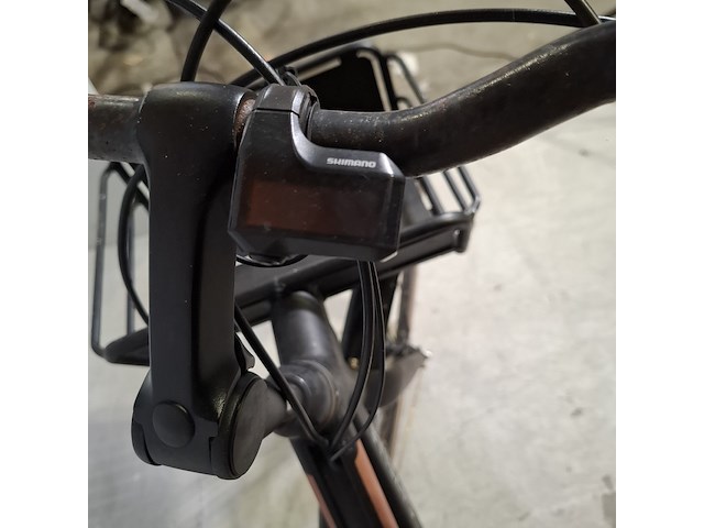 Elektrische damesfiets, gazelle, citygo - afbeelding 14 van  14