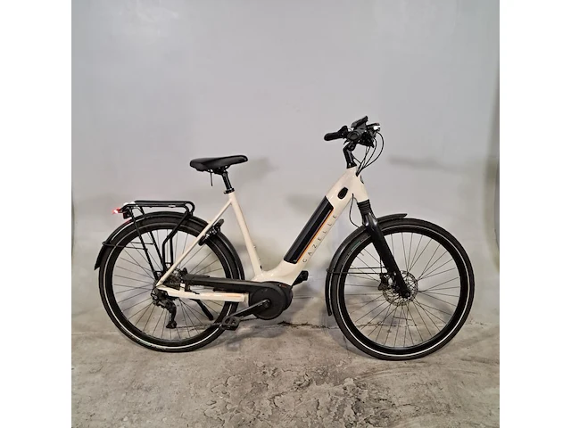 Elektrische damesfiets, gazelle, ultimate t10, 2021 - afbeelding 1 van  20