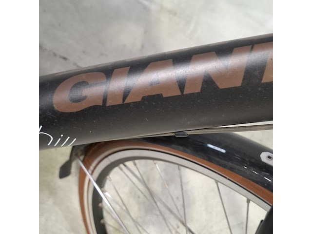 Elektrische damesfiets, giant, chill - afbeelding 2 van  14