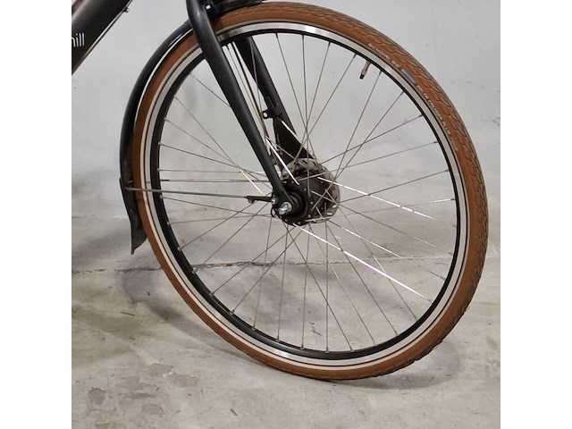 Elektrische damesfiets, giant, chill - afbeelding 10 van  14