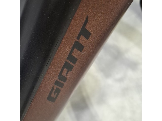 Elektrische damesfiets, giant, dailytour - afbeelding 14 van  14