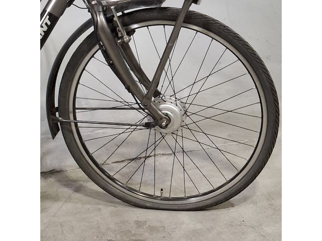 Elektrische damesfiets, giant, triple x - afbeelding 10 van  14