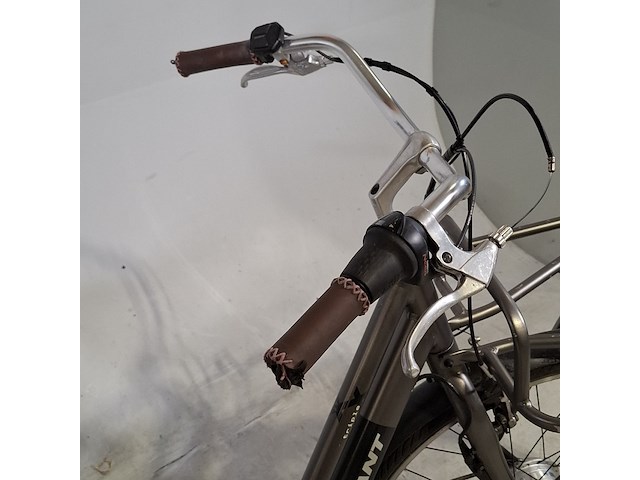 Elektrische damesfiets, giant, triple x - afbeelding 13 van  14