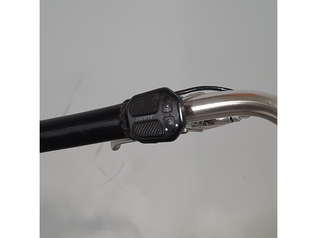 Elektrische damesfiets, giant, triple x - afbeelding 2 van  20