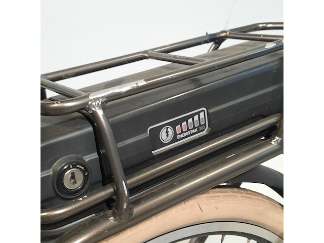 Elektrische damesfiets, giant, triple x - afbeelding 13 van  20