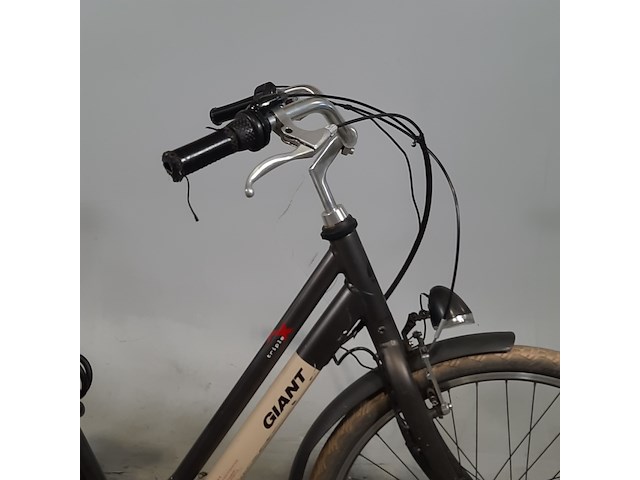 Elektrische damesfiets, giant, triple x - afbeelding 15 van  20