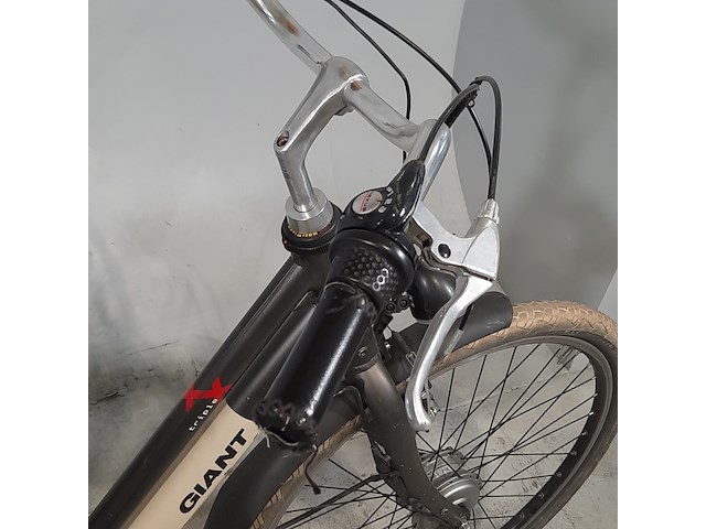 Elektrische damesfiets, giant, triple x - afbeelding 19 van  20