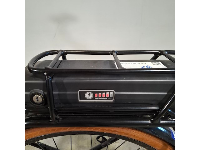 Elektrische damesfiets, giant, triple x - afbeelding 2 van  14