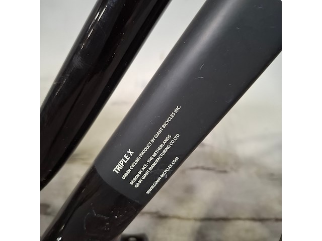 Elektrische damesfiets, giant, triple x - afbeelding 5 van  14