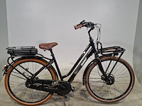 Elektrische damesfiets, giant, triple x