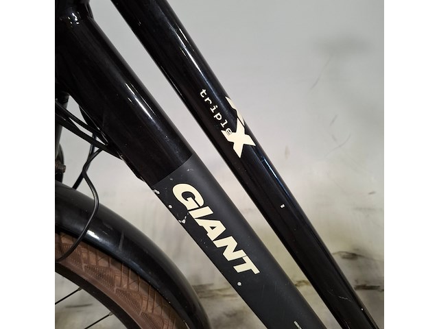 Elektrische damesfiets, giant, triple x - afbeelding 8 van  14