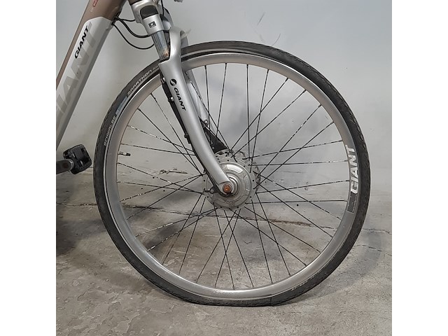 Elektrische damesfiets, giant, twist go double power - afbeelding 17 van  17