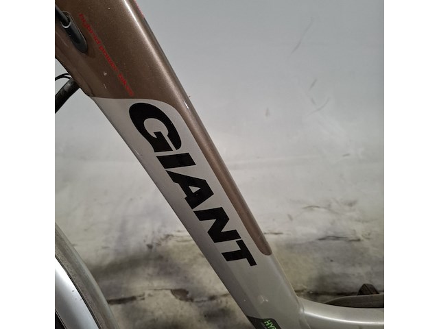 Elektrische damesfiets, giant, twist - afbeelding 8 van  14