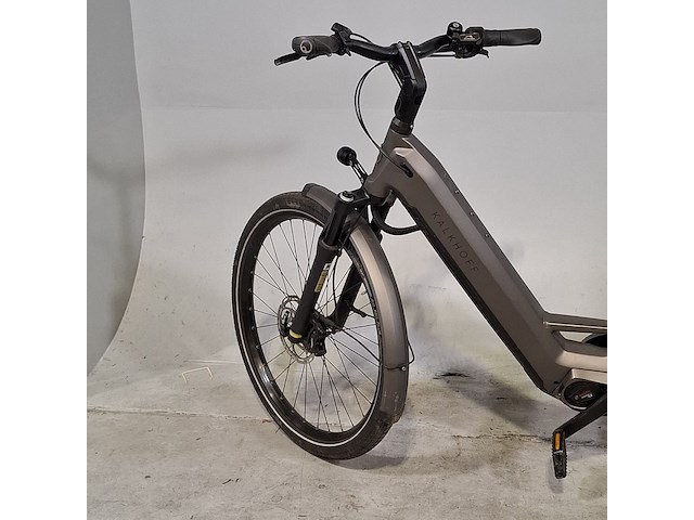 Elektrische damesfiets, kalkhoff, excite - afbeelding 7 van  18