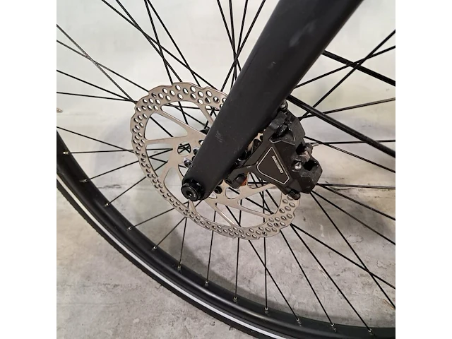 Elektrische damesfiets, koga, e-f3.0, 2025 - afbeelding 9 van  20