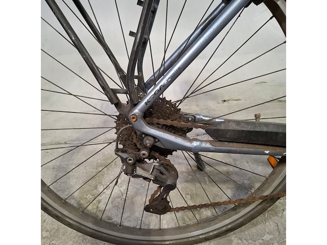 Elektrische damesfiets, koga, e inspire - afbeelding 15 van  15