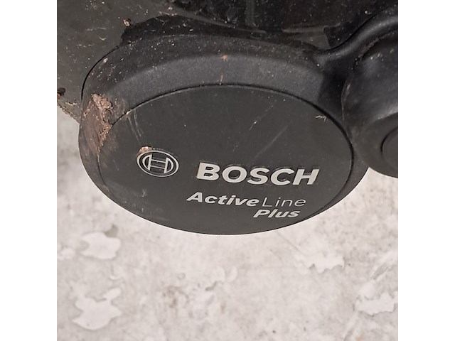 Elektrische damesfiets, koga, nova evo - afbeelding 6 van  14