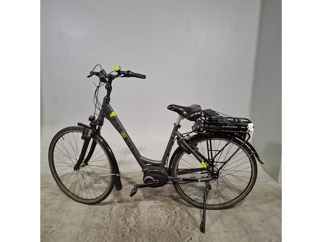 Elektrische damesfiets, pegasus, katarga - afbeelding 7 van  14
