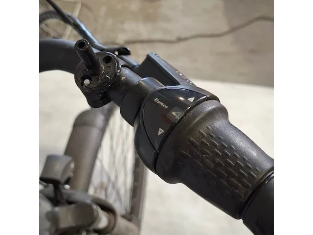 Elektrische damesfiets, pegasus, ravenna evo 8f belt - afbeelding 12 van  14