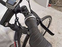 Elektrische damesfiets, pegasus, ravenna - afbeelding 2 van  20