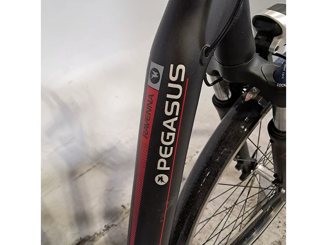 Elektrische damesfiets, pegasus, ravenna - afbeelding 3 van  20