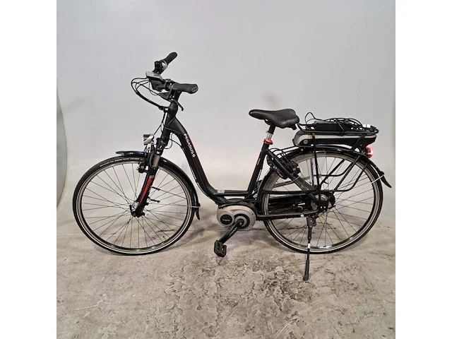 Elektrische damesfiets, pegasus, ravenna - afbeelding 9 van  20
