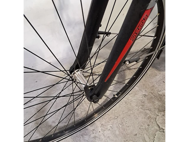 Elektrische damesfiets, pegasus, ravenna - afbeelding 10 van  20
