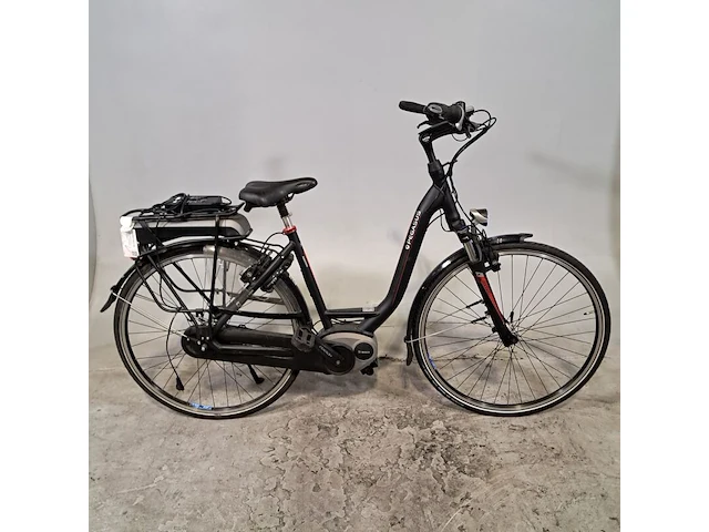 Elektrische damesfiets, pegasus, ravenna - afbeelding 1 van  20