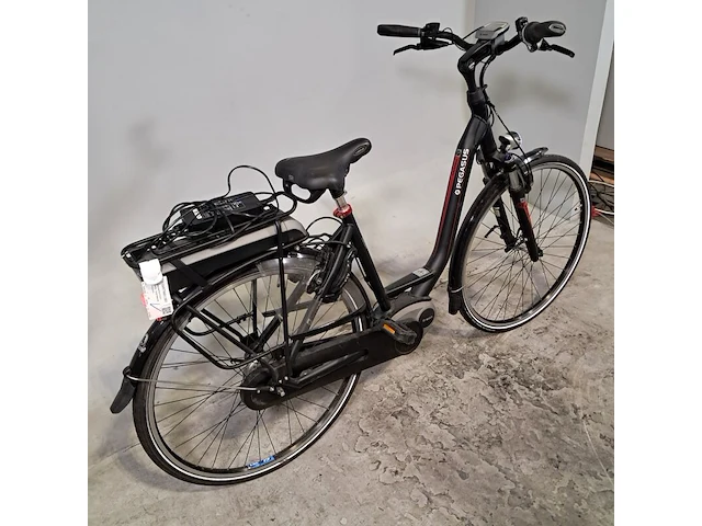Elektrische damesfiets, pegasus, ravenna - afbeelding 12 van  20