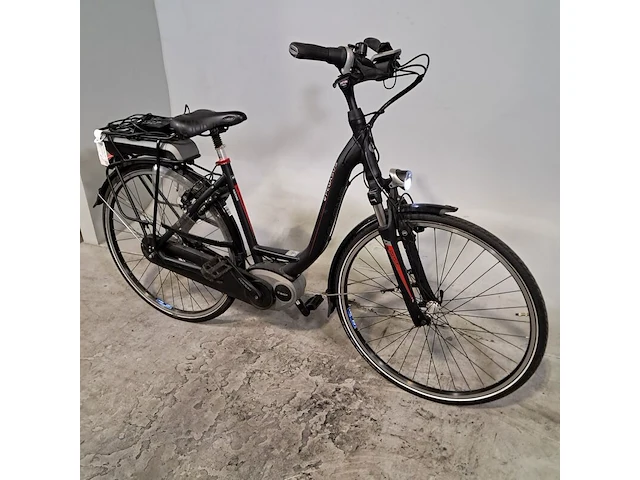 Elektrische damesfiets, pegasus, ravenna - afbeelding 14 van  20