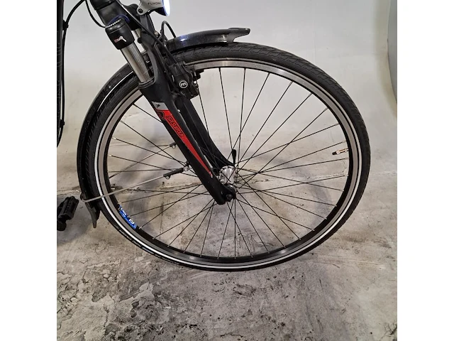 Elektrische damesfiets, pegasus, ravenna - afbeelding 15 van  20