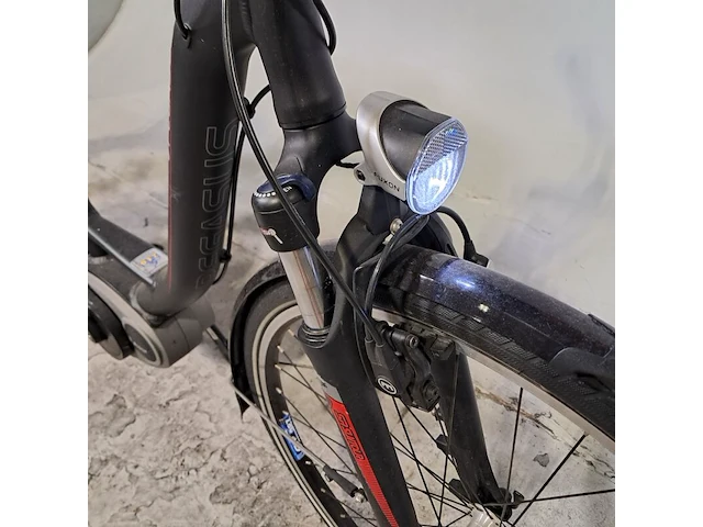 Elektrische damesfiets, pegasus, ravenna - afbeelding 16 van  20