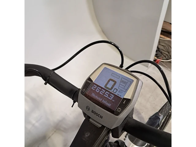 Elektrische damesfiets, pegasus, ravenna - afbeelding 19 van  20