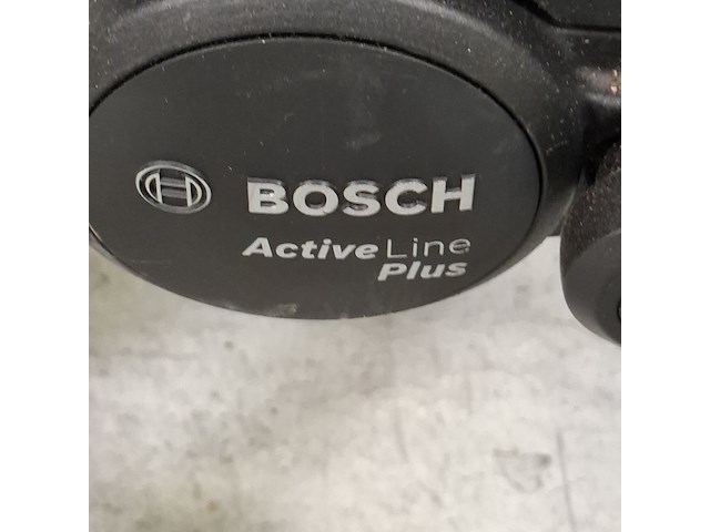 Elektrische damesfiets, pegasus, siena e - afbeelding 9 van  18