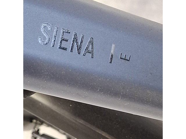 Elektrische damesfiets, pegasus, siena e - afbeelding 10 van  18