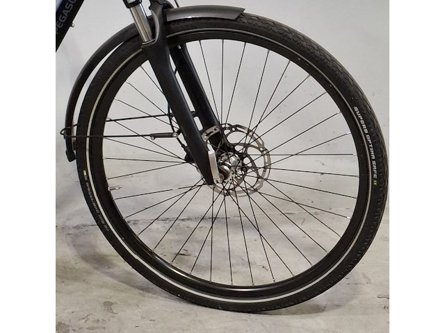 Elektrische damesfiets, pegasus, siena e - afbeelding 14 van  18