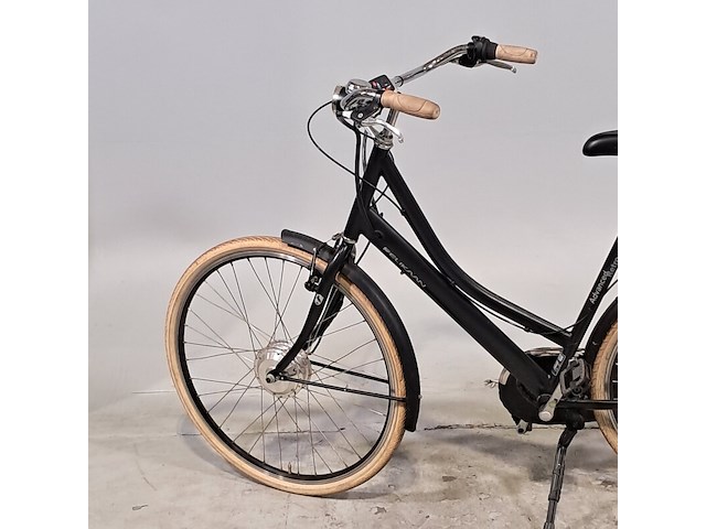 Elektrische damesfiets, pelikaan, advanced retro - afbeelding 4 van  12