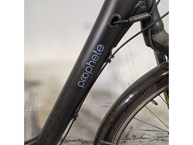 Elektrische damesfiets, prophete, 2023 - afbeelding 2 van  20